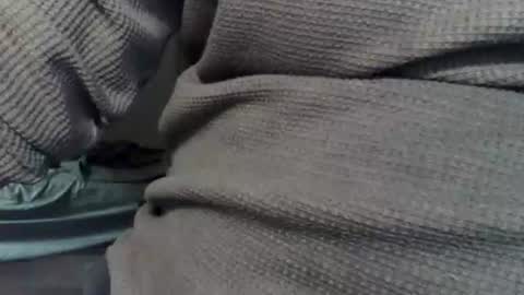 wolfreapsurass online show from 02/24/26, 03:15