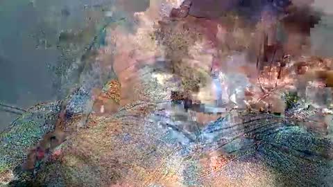 Snapshot of wolfrot chatting on 02/02/26, 03:49 wolf boy online show from 02/02/26, 03:49