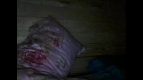 Snapshot of wolfvili chatting on 03/10/26, 06:24 Vili online show from 03/10/26, 06:24