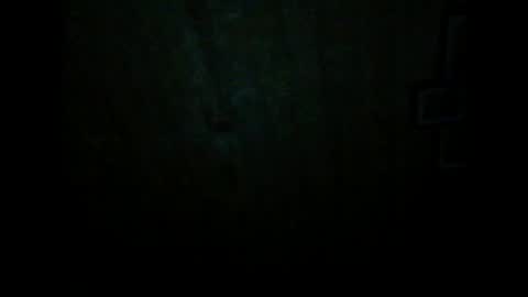 Snapshot of wolfvili chatting on 03/20/26, 06:46 Vili online show from 03/20/26, 06:46