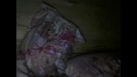 Snapshot of wolfvili chatting on 04/15/26, 06:37 Vili online show from 04/15/26, 06:37