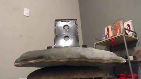 Snapshot of wonderfullight chatting on 12/02/25, 11:00 SHENIEL RODRIGUEZ online show from 12/02/25, 11:00