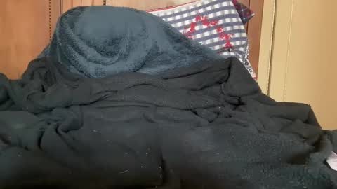 Snapshot of wonkywillywanks chatting on 01/31/25, 12:51 wonkywillywanks online show from 01/31/25, 12:51