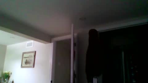 woodeee77 online show from 03/15/26, 05:08