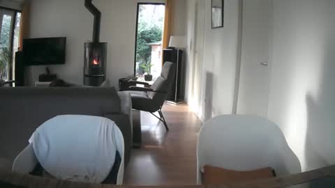 woodwurm and Snoeske online show from 02/19/25, 02:55