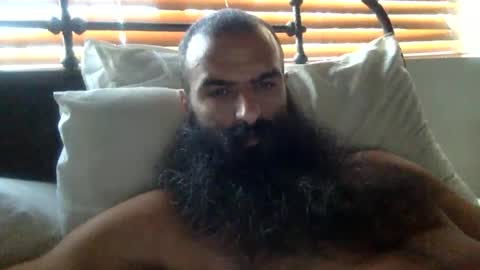 woof_wolf37 online show from 02/02/26, 03:22