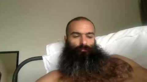 Snapshot of woof_wolf37 chatting on 03/10/26, 04:01 woof_wolf37 online show from 03/10/26, 04:01