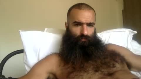 Snapshot of woof_wolf37 chatting on 03/29/26, 06:52 woof_wolf37 online show from 03/29/26, 06:52