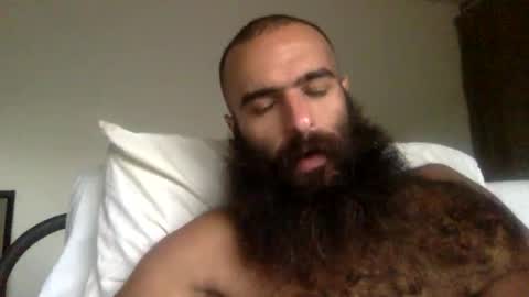 Snapshot of woof_wolf37 chatting on 03/31/26, 03:56 woof_wolf37 online show from 03/31/26, 03:56