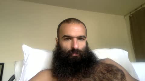 Snapshot of woof_wolf37 chatting on 04/07/26, 03:45 woof_wolf37 online show from 04/07/26, 03:45