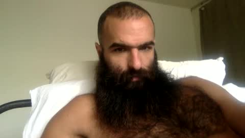 Snapshot of woof_wolf37 chatting on 04/12/26, 04:01 woof_wolf37 online show from 04/12/26, 04:01