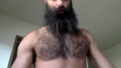 Snapshot of woof_wolf37 chatting on 04/15/26, 03:52 woof_wolf37 online show from 04/15/26, 03:52