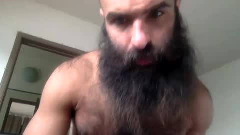 Snapshot of woof_wolf37 chatting on 04/16/26, 04:19 woof_wolf37 online show from 04/16/26, 04:19