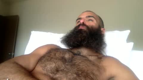 Snapshot of woof_wolf37 chatting on 04/16/26, 10:56 woof_wolf37 online show from 04/16/26, 10:56