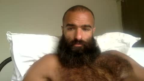 woof_wolf37 online show from 05/26/26, 03:19