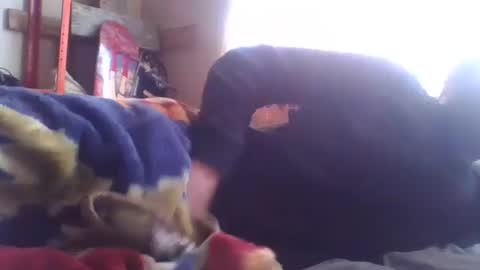 Snapshot of wormaho84 chatting on 01/07/25, 02:41 wormaho84 online show from 01/07/25, 02:41