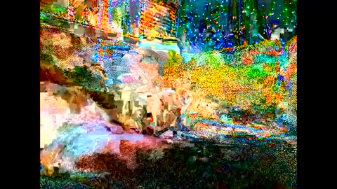 Wowokthankyou online show from 09/19/25, 07:10