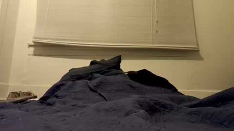 Tslexislut online show from 04/17/26, 09:34