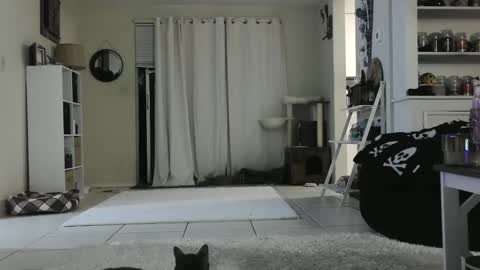 Crystal Lake online show from 12/26/24, 09:22