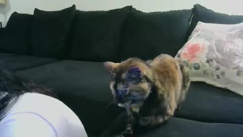 Crystal Lake online show from 10/15/25, 06:35