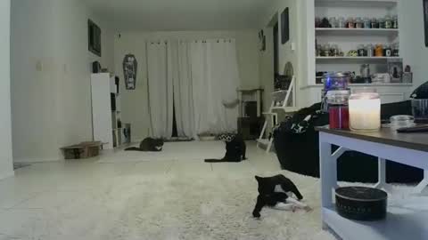 Crystal Lake online show from 10/19/25, 07:42