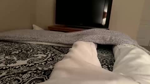 Snapshot of wsteel66 chatting on 02/24/26, 03:48 Wsteel66 online show from 02/24/26, 03:48