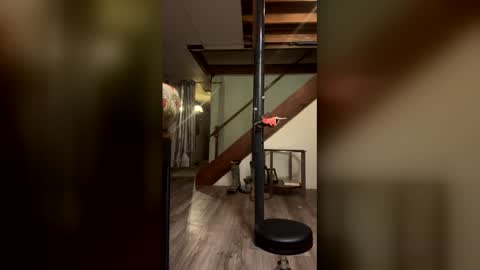 wyattmcc32288 online show from 03/02/26, 08:10