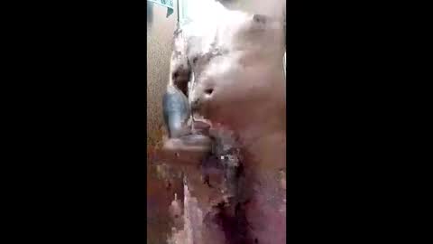 Snapshot of wzrblk580 chatting on 03/29/26, 11:38 Blk online show from 03/29/26, 11:38