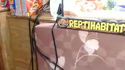 x2kayx2 online show from 01/13/26, 09:42