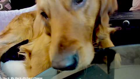 Lily online show from 01/15/25, 02:38