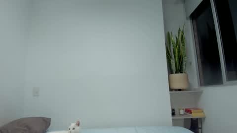 Snapshot of xavier_colleman chatting on 09/28/25, 12:38 Xavier online show from 09/28/25, 12:38