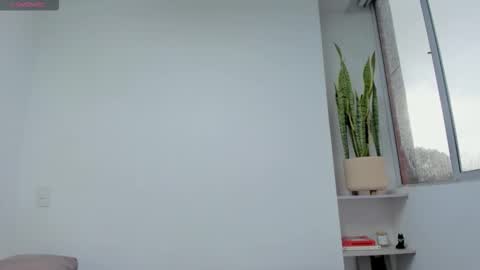 Snapshot of xavier_colleman chatting on 11/18/25, 07:40 Xavier online show from 11/18/25, 07:40