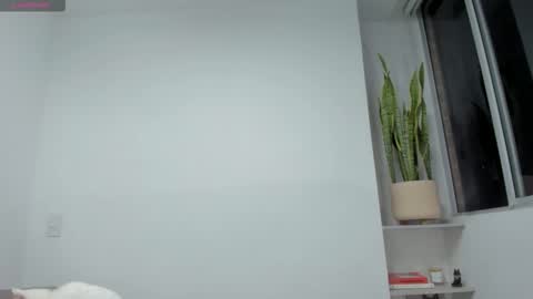 Snapshot of xavier_colleman chatting on 11/23/25, 12:54 Xavier online show from 11/23/25, 12:54