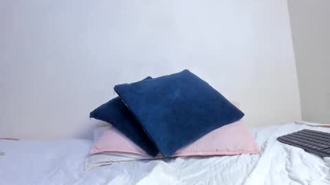 Snapshot of xavier_days chatting on 11/09/25, 01:26 sebas online show from 11/09/25, 01:26