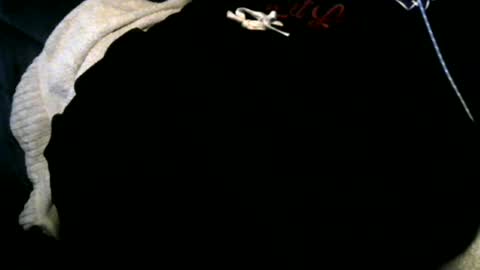 Snapshot of xbigtymerx chatting on 12/12/24, 06:57 Toke online show from 12/12/24, 06:57