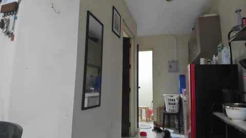 xdreamangel online show from 01/27/25, 12:58