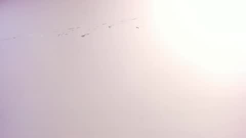 Snapshot of ximena_vasquez8 chatting on 10/22/25, 03:07 Xime online show from 10/22/25, 03:07