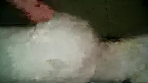 Wendy online show from 03/05/25, 09:59