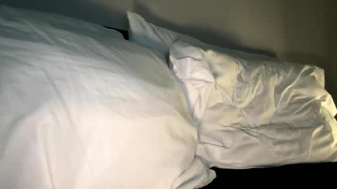 Snapshot of xmomentumx chatting on 02/20/25, 06:02 xmomentumx online show from 02/20/25, 06:02