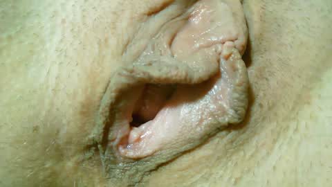 Snapshot of xollan chatting on 01/31/25, 12:50 Lost in Lust online show from 01/31/25, 12:50