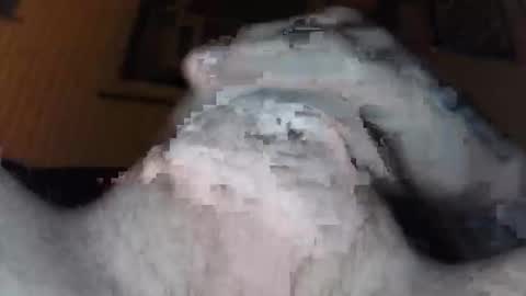 Snapshot of xoxossdfm8894982459 chatting on 12/20/25, 03:46 xoxossdfm8894982459 online show from 12/20/25, 03:46