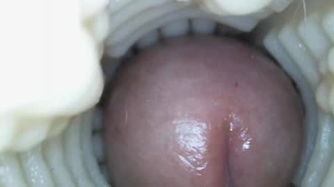 xoxowtf online show from 03/15/26, 05:41