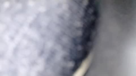 xploid1982 online show from 12/17/25, 01:33