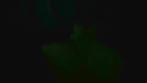 Snapshot of xposed_edger chatting on 03/02/25, 05:33 xposed_edger online show from 03/02/25, 05:33