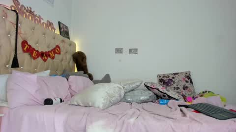 Shantyonlyfansshantallsalcedo online show from 02/15/25, 03:17