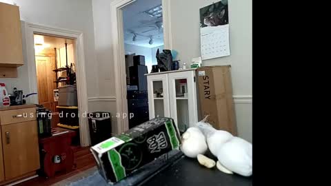 Johnny online show from 02/10/25, 06:24