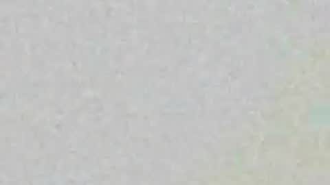 Femboy Exotic online show from 06/22/26, 08:22