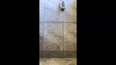 xviktorbr online show from 03/26/26, 04:56