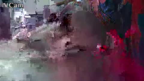 xxilikeassxx online show from 02/13/26, 10:33