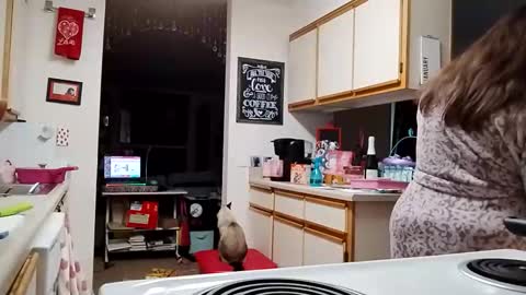 Strawberry Jane online show from 02/03/26, 04:23